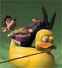 Duck Boat